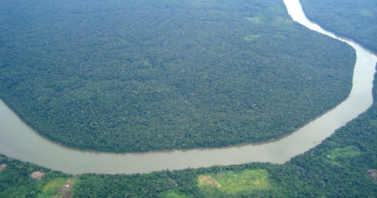 Top 10 Facts About Amazon Rainforest Best Toppers 