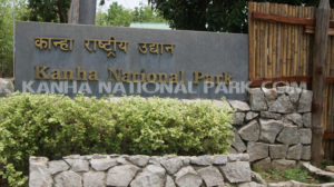 kanha-national-park_5