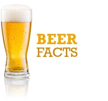 beer facts