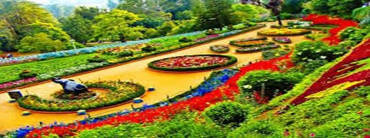 tourist places ooty botanical garden 