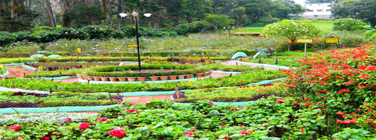 Bryant Park tourist places in kodaikanal