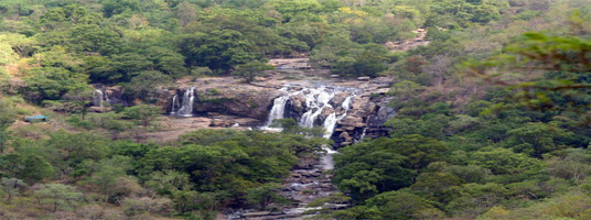 chinnar tourist places in munnar