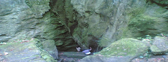 guna cave tourist places in kodaikanal