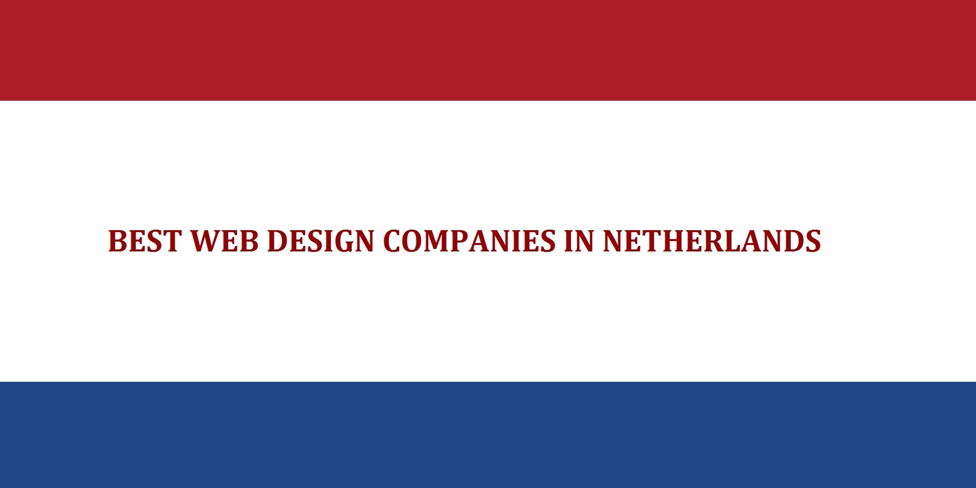 web design company netherlands