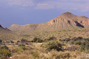 Chihuahua Desert
