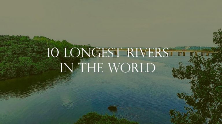 10 Longest Rivers In The World