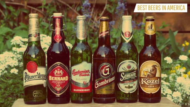 Most Popular Beers in America
