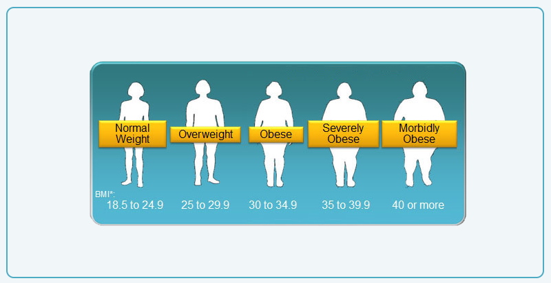 BMI Weight Obesity Scale