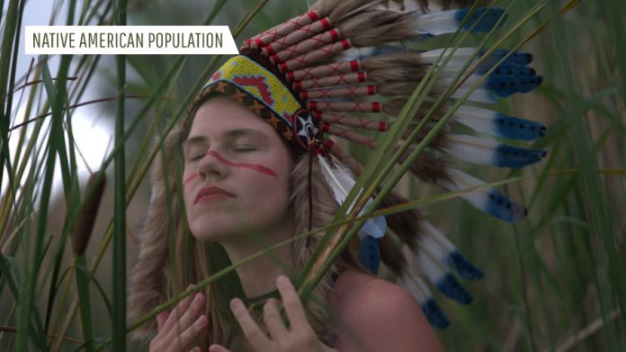 Native American Population
