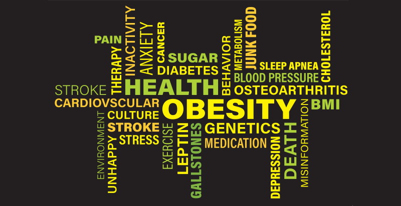 Obesity Causes Chronic Diseases