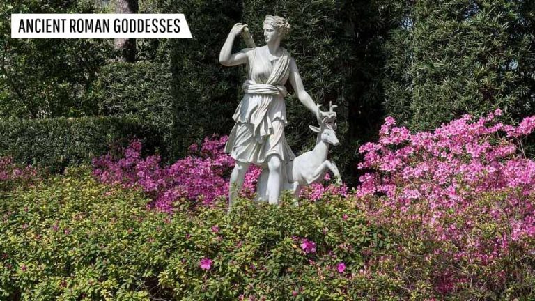 Ancient Roman Goddesses