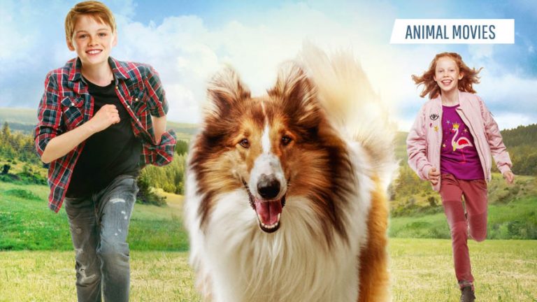 Best Animal Movies
