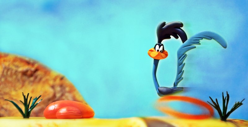 Road runner-2nd Best Bird Characters In Cartoons And Comics