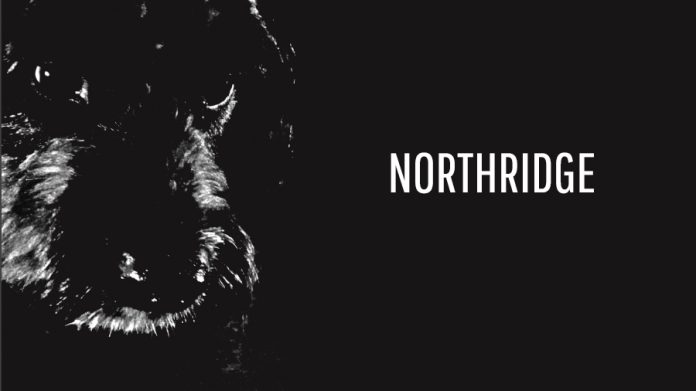 Northridge Season 1