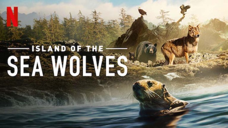 Island of the Sea Wolves Season 2: Release Date, Cast, Plot, Trailer, And Other Updates That You Want To Know!