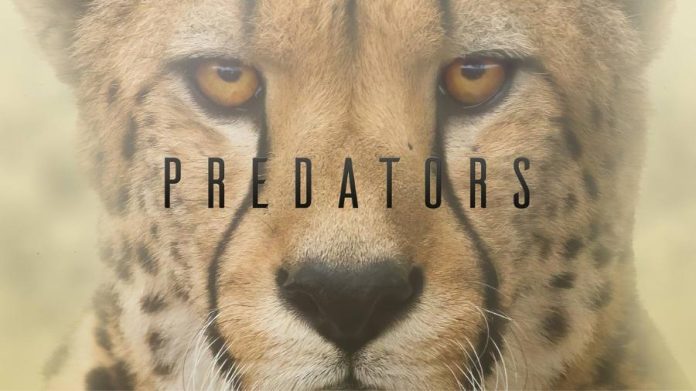 Predators Season 1