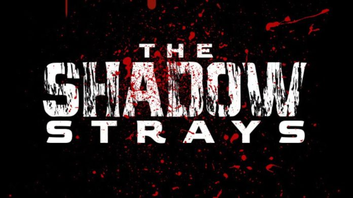 The Shadow Strays Season 1